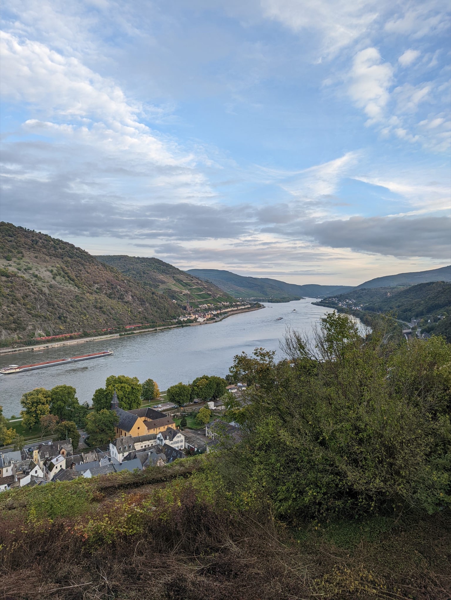 A broad view across the Rhine River and its hillside villages in Germany